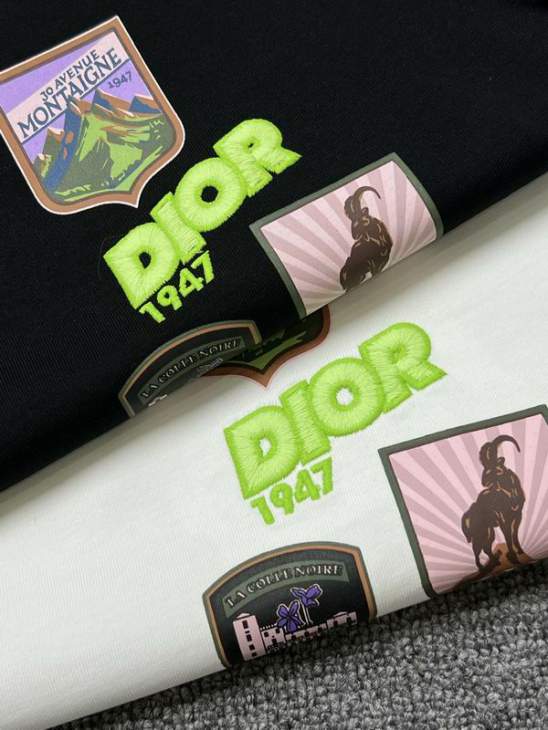 Dior T Shirts Short _SKUDiorS-XLhgntx3515756